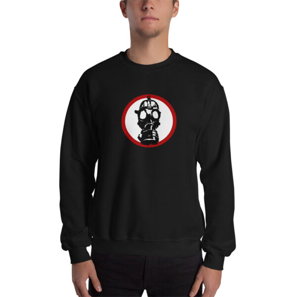 Sweatshirt pirate 2
